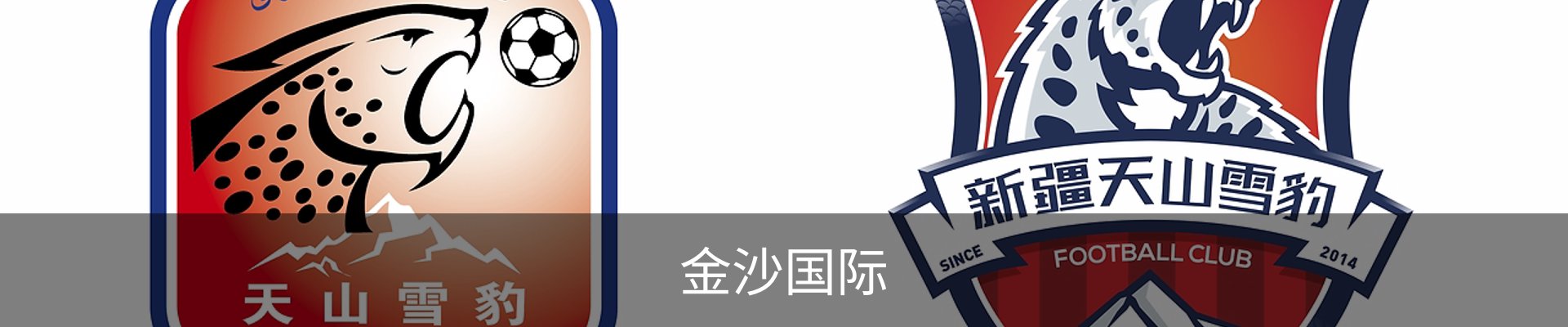 金沙国际